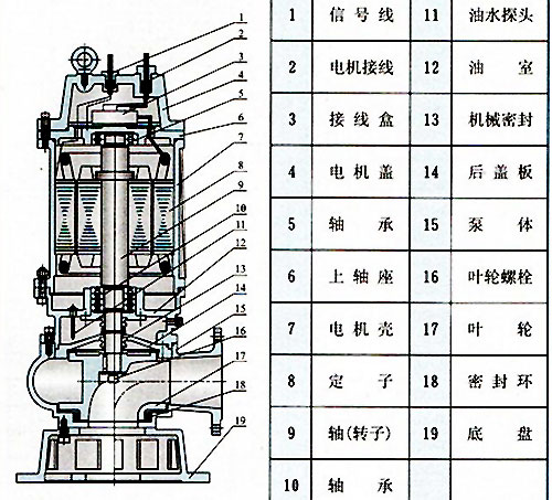 無堵塞潛水排污泵結(jié)構(gòu)圖